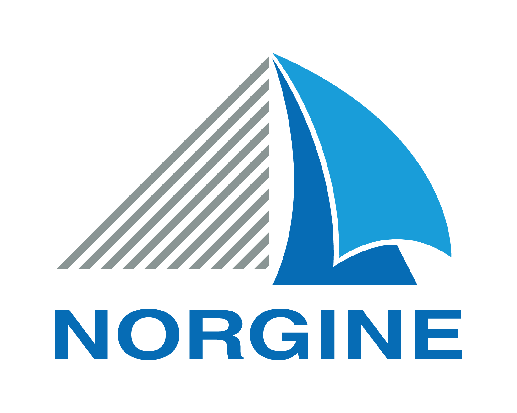 Norgine_Logo.ok-01